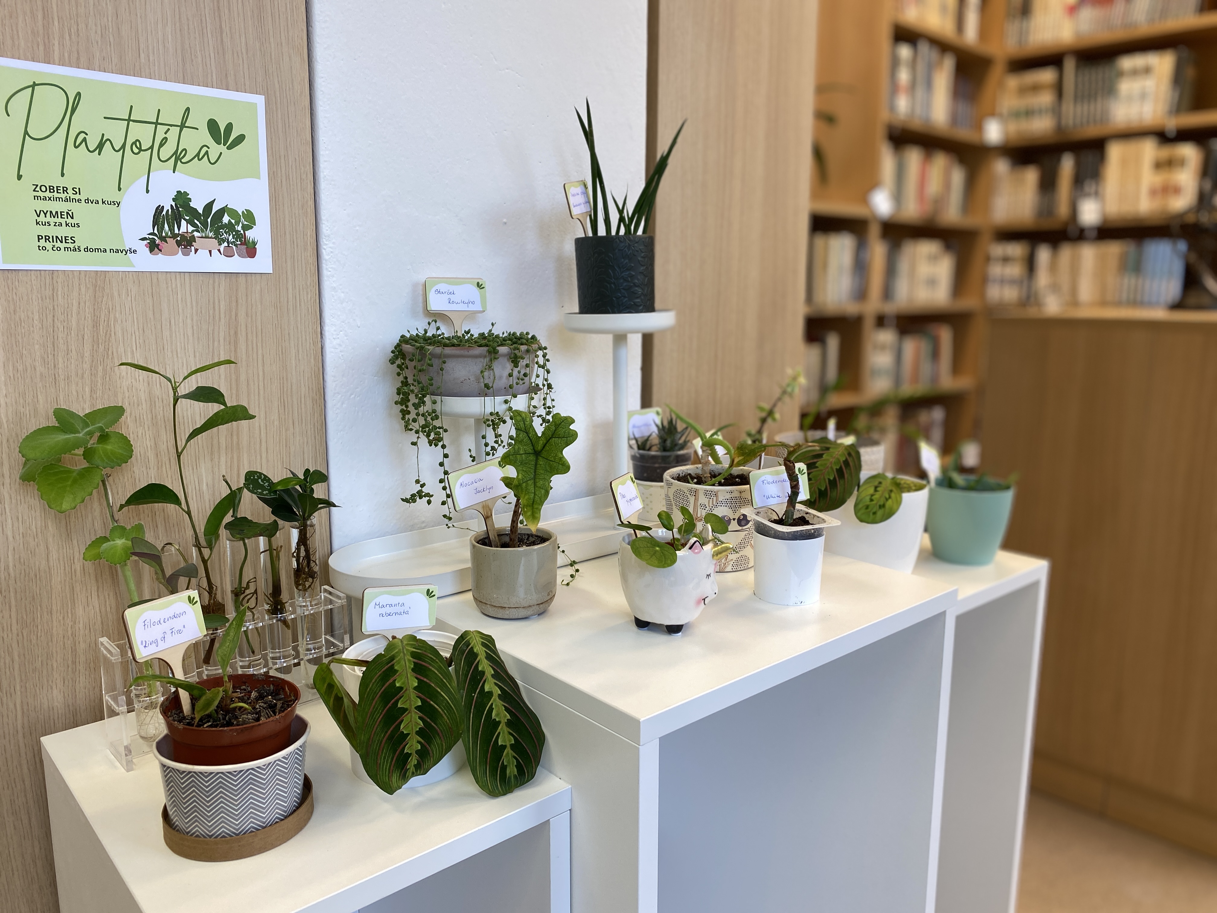 Novinka: Plantotéka